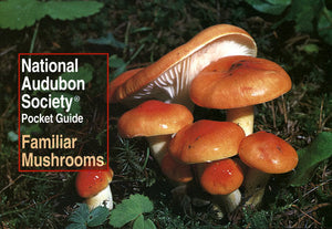 product image - book cover of "Pocket Guide to Familiar Mushrooms"