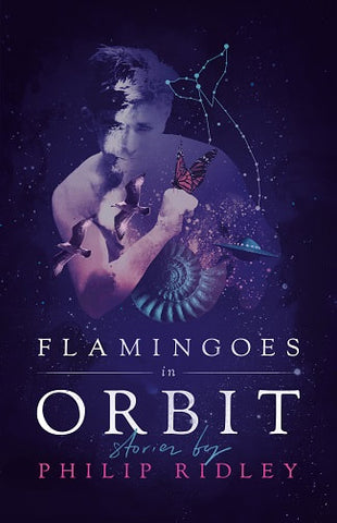 Flamingoes in Orbit by Philip Ridley