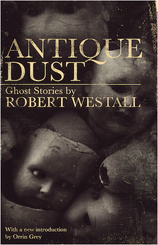Antique Dust by Robert Westall