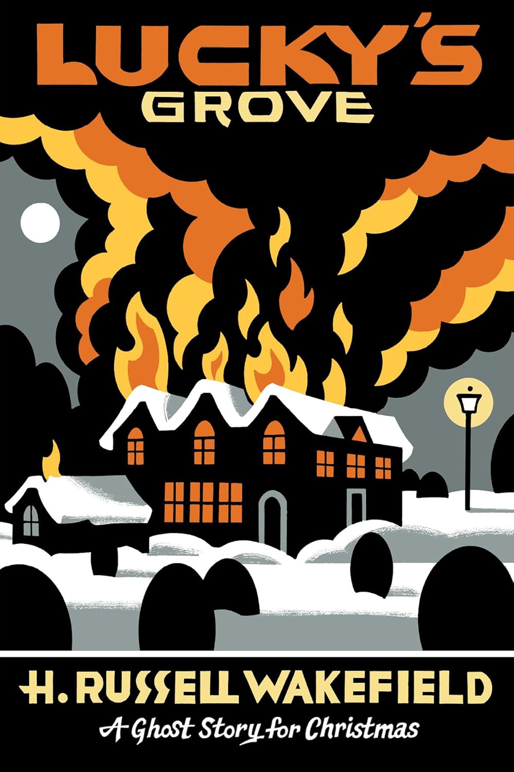 product image - book cover