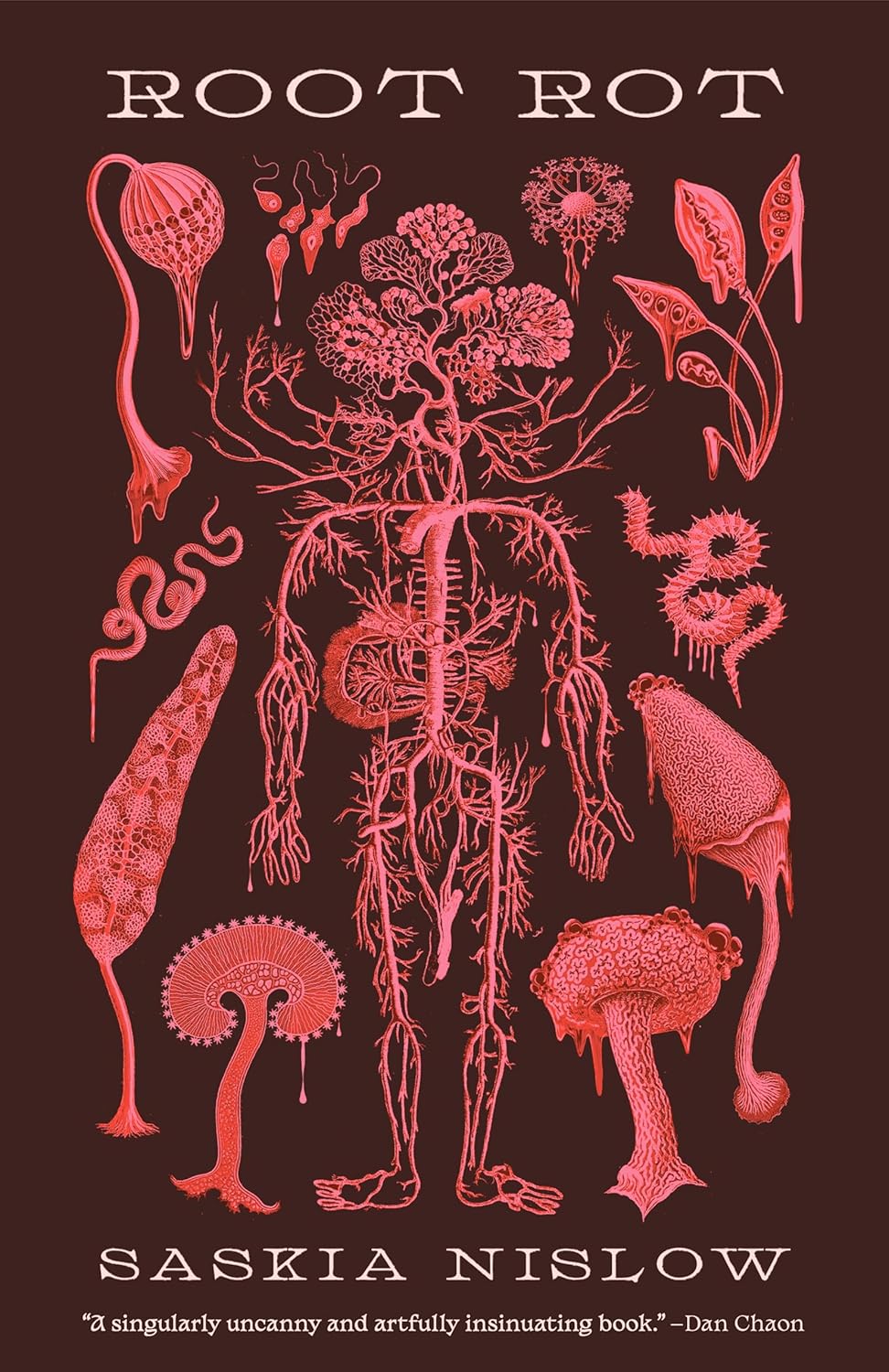 product image - book cover