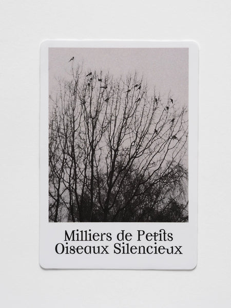 product image - artwork example - Milliers de Petits Oiseaux Silencieux