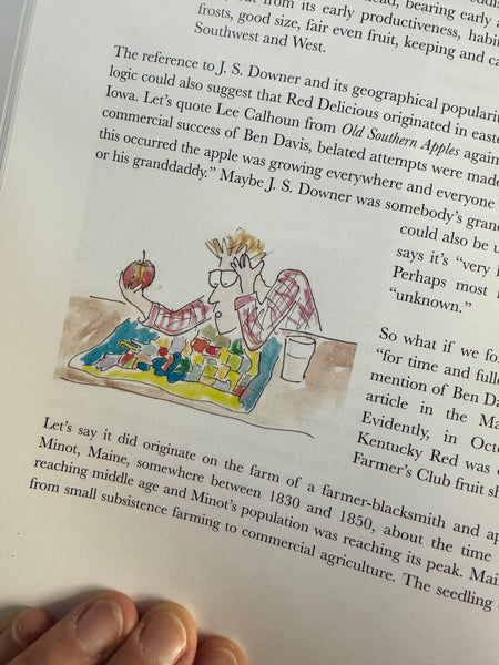 product image - quirky handdrawn illustration of apple detective puzzling over map with apple in hand