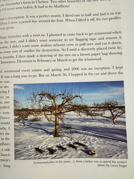 product image - page example showing photo of scionwood gathering in winter