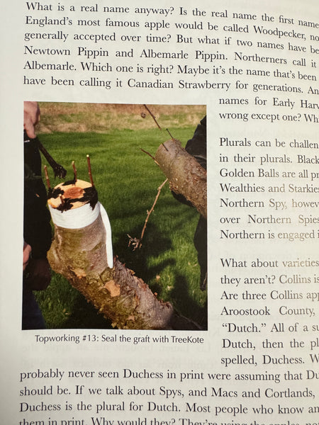 product image - example of instructional photo of grafting process