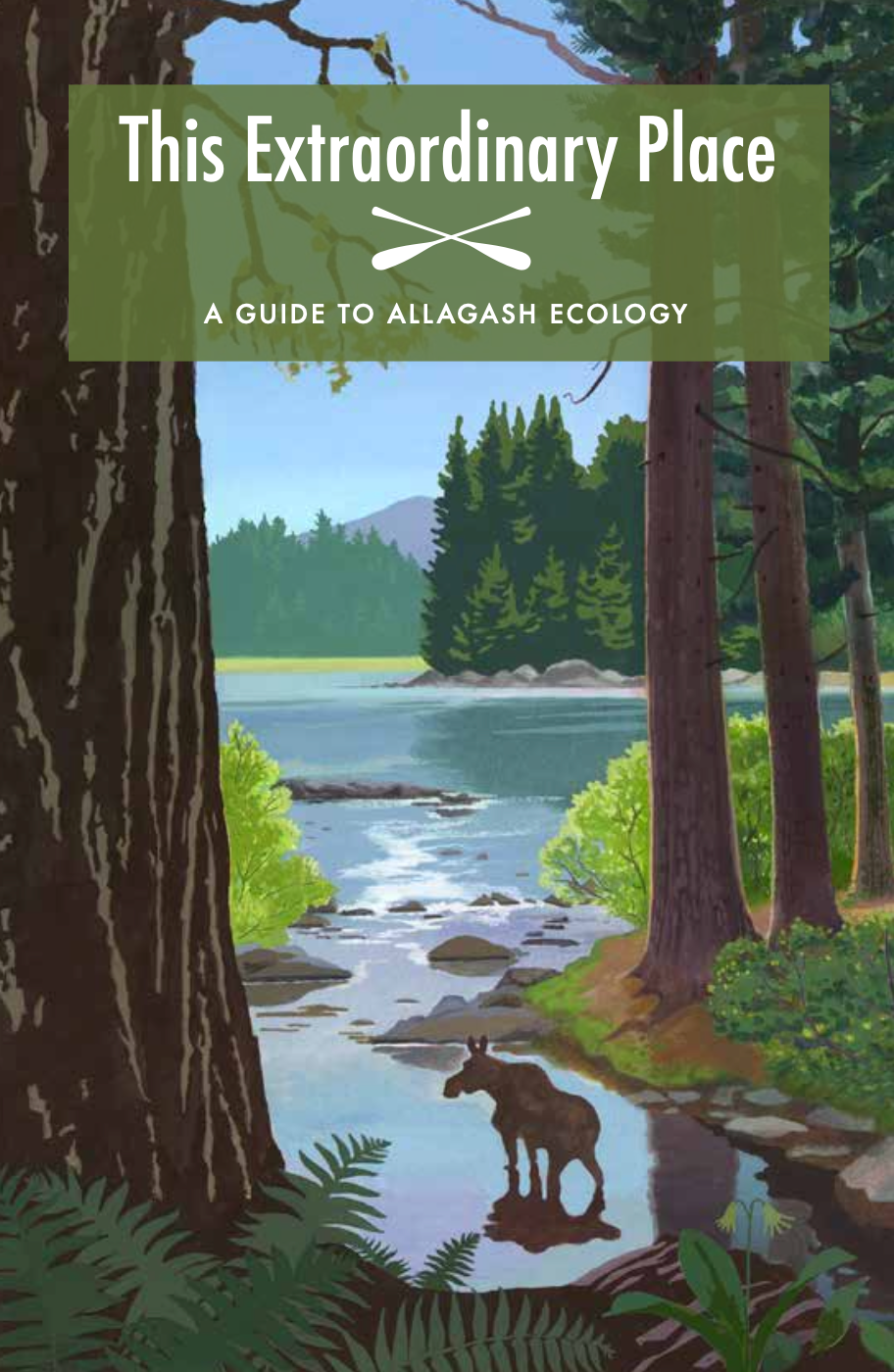 product image - cover art