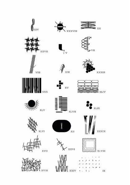 Fable by Benito del Pliego & Pedro Núñez