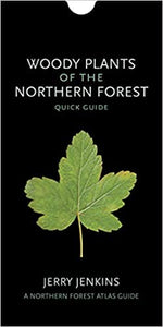 Woody Plants of the Northern Forest: Quick Guide by Jerry Jenkins