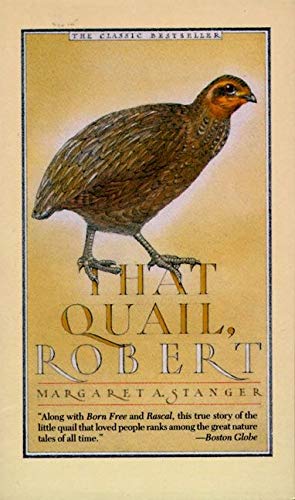 That Quail, Robert by Margaret Stanger