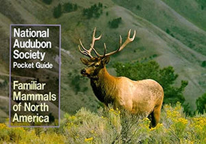 Audubon's Pocket Guide to Familiar Mammals