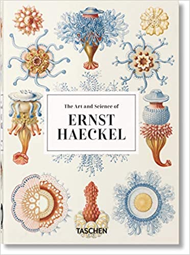 The Art & Science of Ernst Haeckel - 40th Ed. by Rainer Willmann & Julia Voss