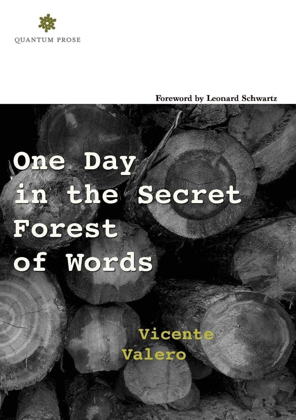 One Day in the Secret Forest of Words by Vicente Valero
