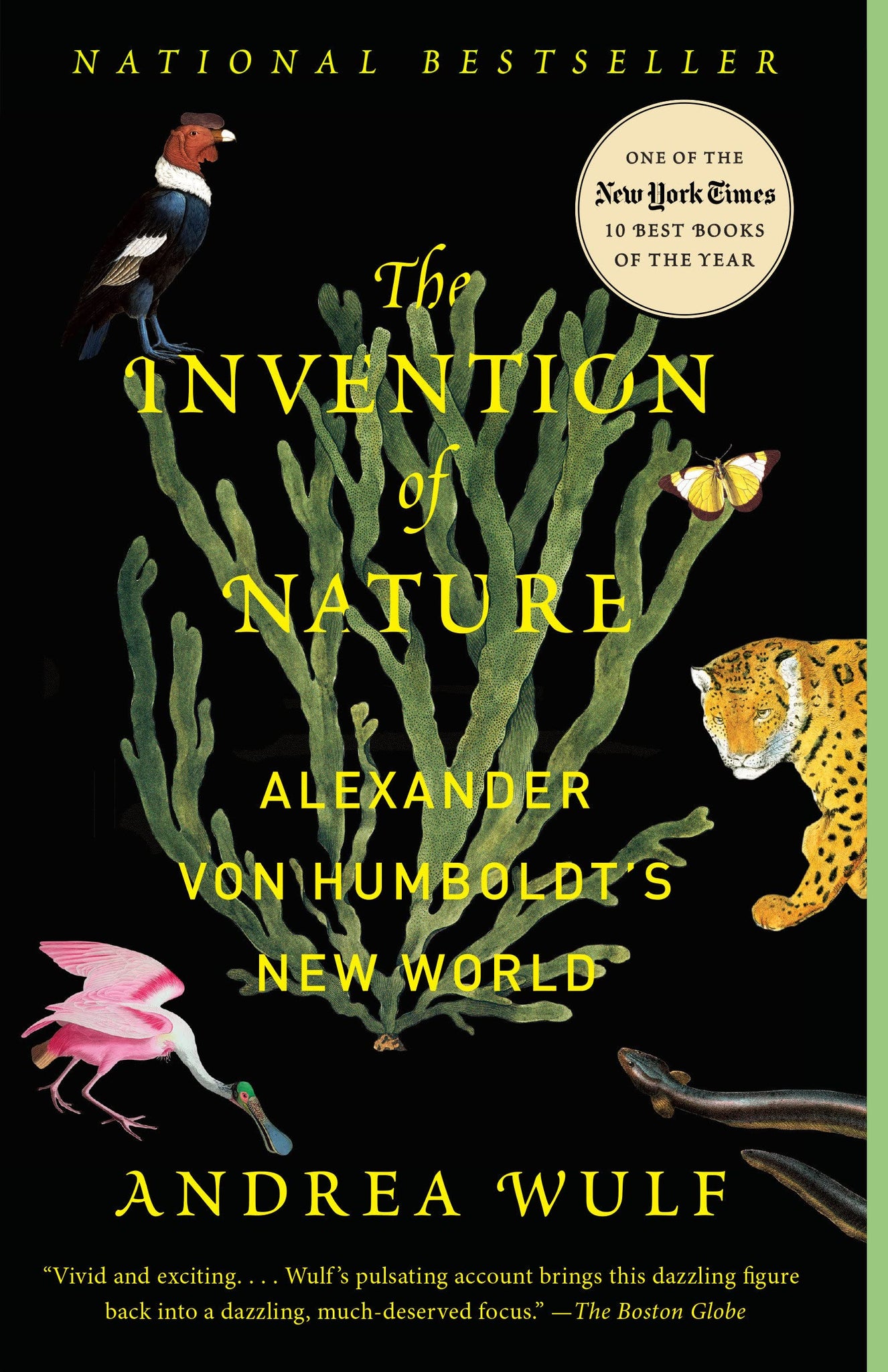 The Invention of Nature : Alexander Von Humboldt's New World by Andrea Wulf