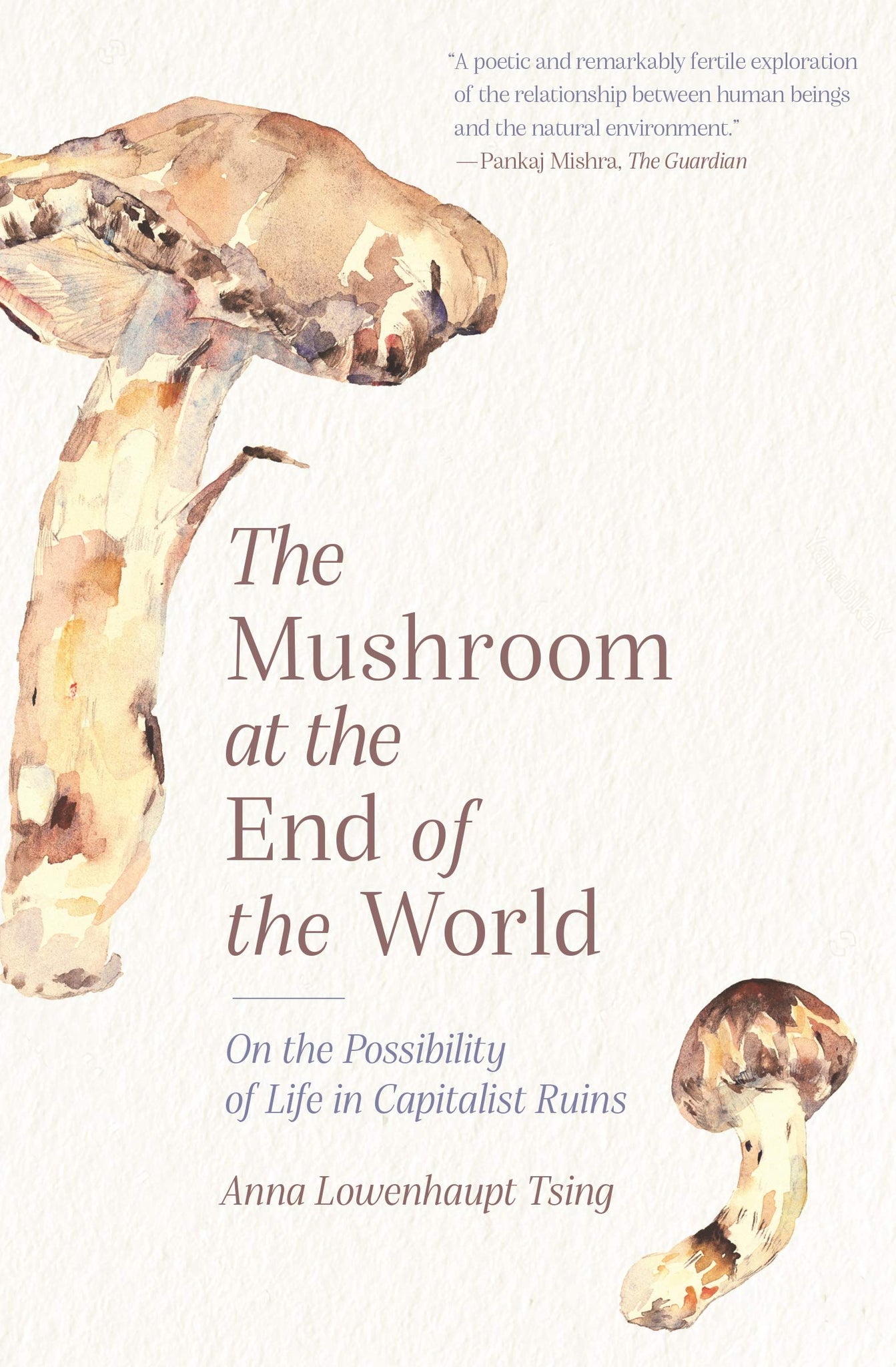 The Mushroom at the End of the World : On the Possibility of Life in Capitalist Ruins by Anna Lowenhaupt Tsing