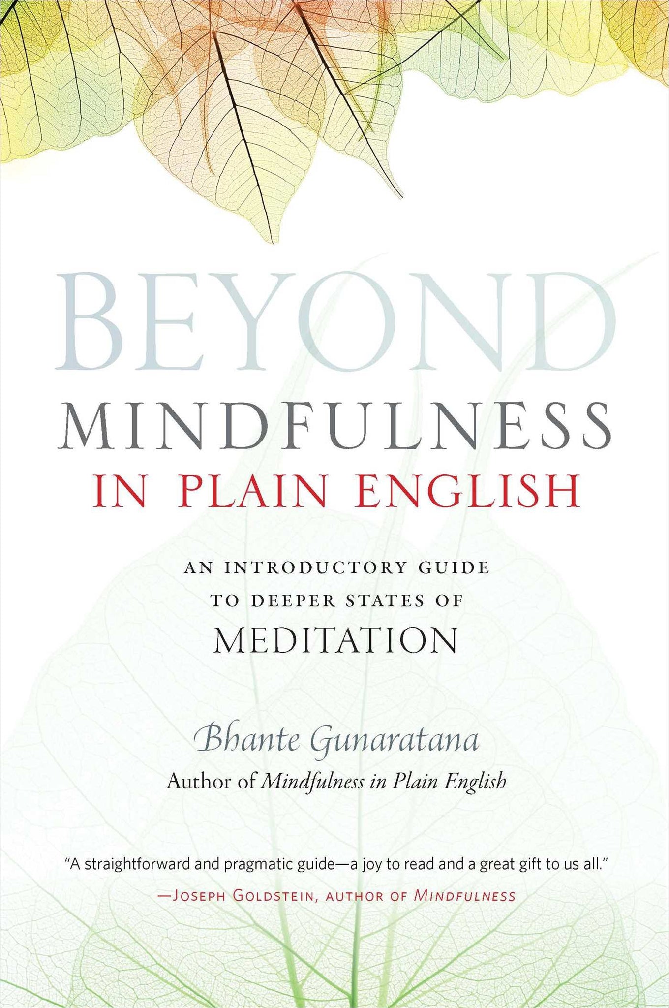 Beyond Mindfulness in Plain English : An Introductory Guide to Deeper States of Meditation by Bhante Henepola Gunaratana