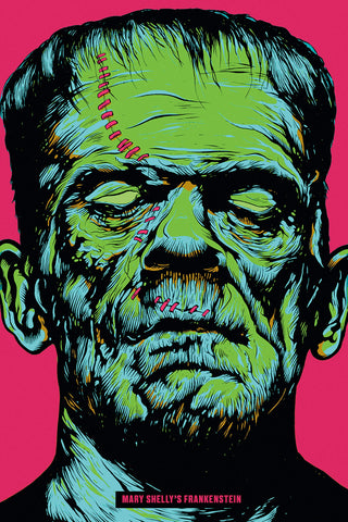 Frankenstein by Mary Shelley - hardcvr