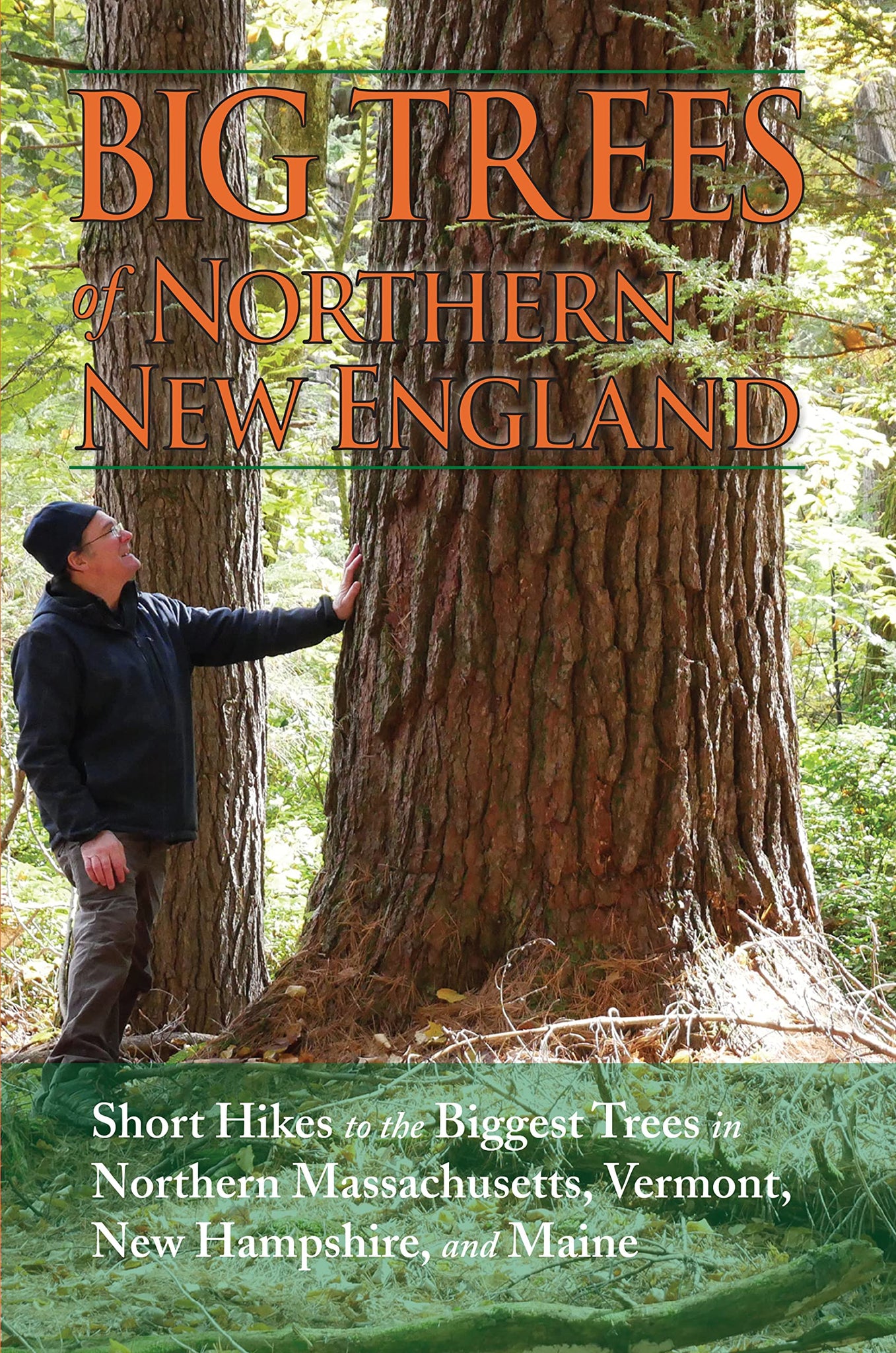 Big Trees of Northern New England: Short Hikes to the Biggest Trees in Northern MA, VT, NH, & Maine by Kevin Martin