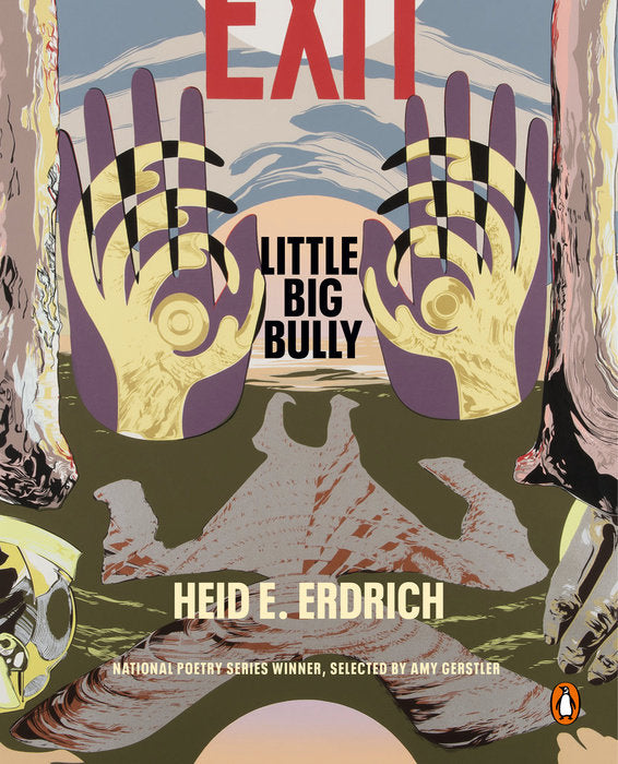 Little Big Bully by Heid Erdrich