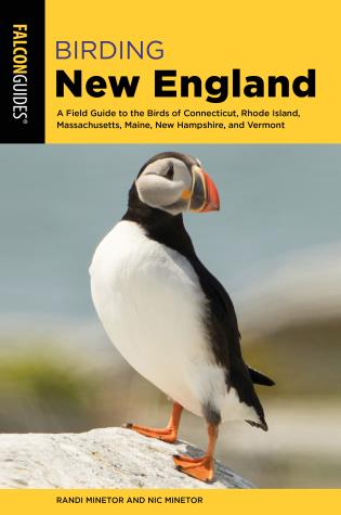 Birding New England by Randi & Nic Minetor