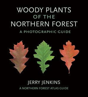 Woody Plants of the Northern Forest by Jerry Jenkins