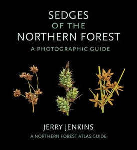 Sedges of the Northern Forest by Jerry Jenkins