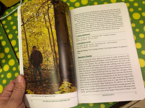 Big Trees of Northern New England: Short Hikes to the Biggest Trees in Northern MA, VT, NH, & Maine by Kevin Martin