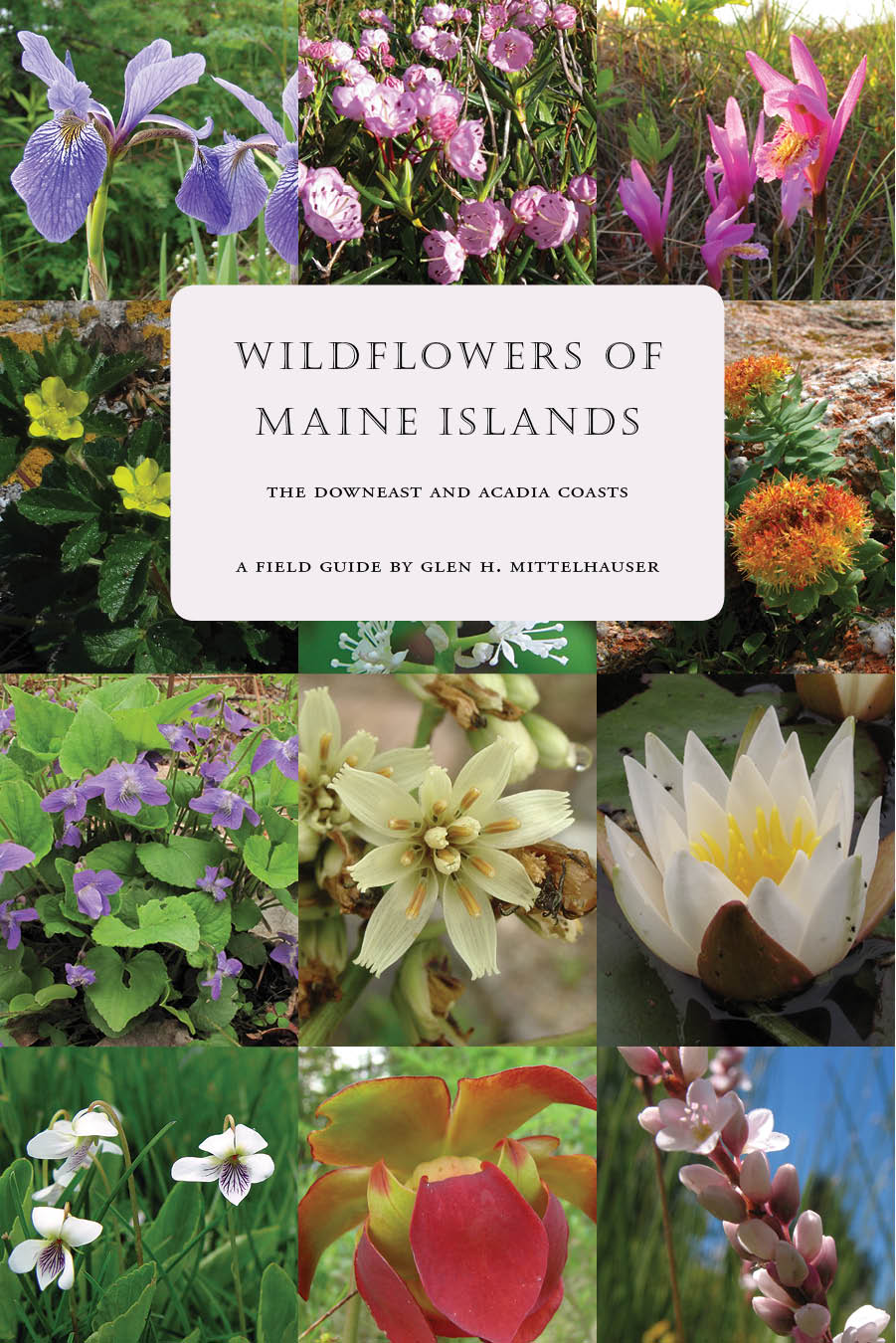Wildflowers of Maine Islands by Glen Mittelhauser