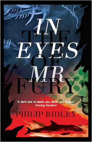 In the Eyes of Mr. Fury by Philip Ridley