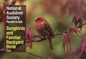 Audubon's Pocket Guide to Songbirds & Familiar Backyard Birds : Eastern Region