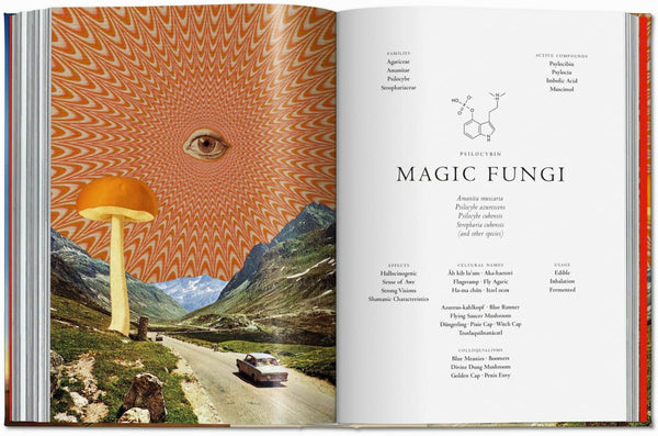 Plant Magick by Jessica Hundley - Library of Esoterica