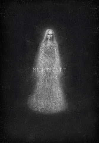 Nightscript 6: An Anthology of Strange & Darksome Tales ed by C.M. Muller