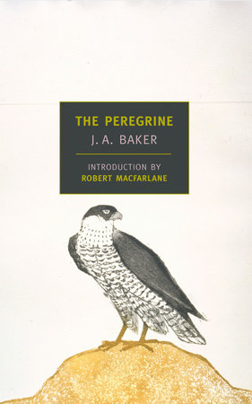 The Peregrine by J. A. Baker