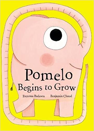 Pomelo Begins to Grow by Ramona Badescu, illus by Benjamin Chaud - hardcvr