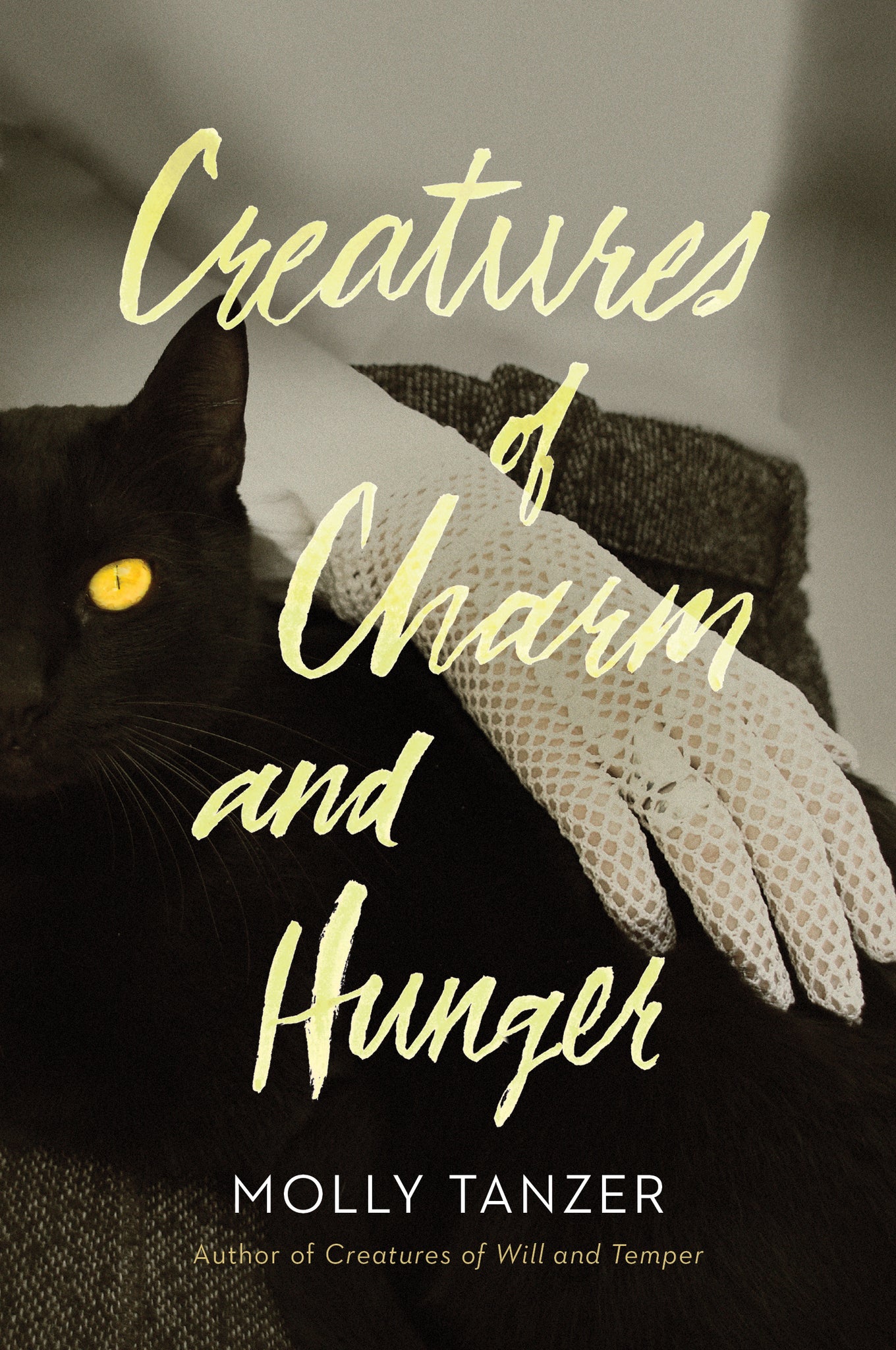 Diabolist's Library #3: Creatures of Charm & Hunger by Molly Tanzer