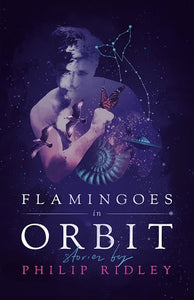 Flamingoes in Orbit by Philip Ridley